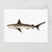 Illustratie  haaien - Sjabloon Retro Sharks Briefkaart (Voorkant)