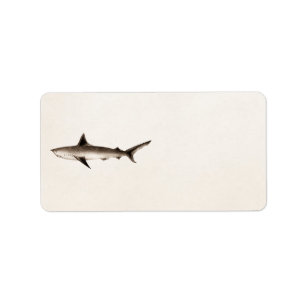 Illustratie haaien - Sjabloon Retro Sharks Etiket