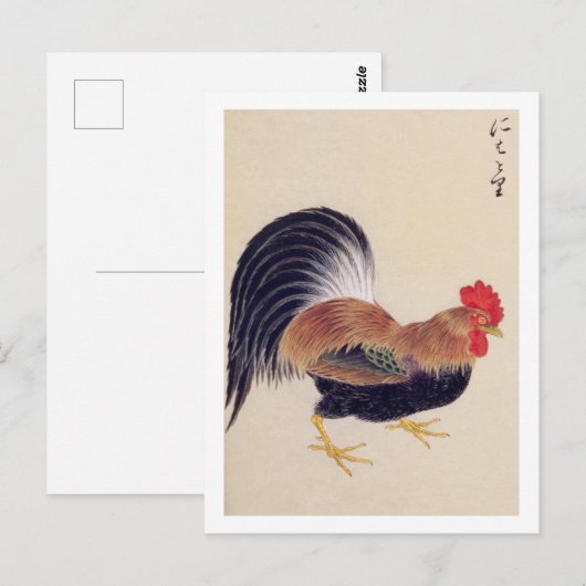 illustratie: Haan Briefkaart (Voorkant / Achterkant)