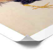 illustratie: Haan Poster (Hoek)