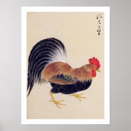 illustratie: Haan Poster (Voorkant)