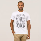 Illustratie Haeckel Conifer T-shirt (Voorkant volledig)