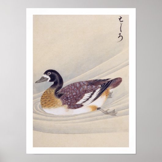  illustratie: Hajiro Poster (Voorkant)