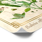 illustratie Herb Plant Sage Botanische Kunst Poster (Hoek)