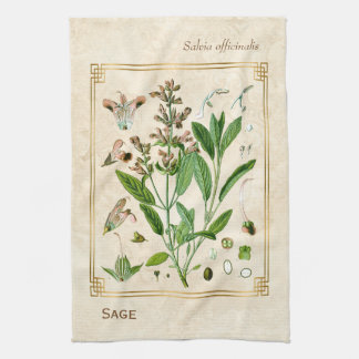  illustratie Herb Plant Sage Botanische Kunst Theedoek