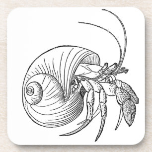 Illustratie Hermit Crab (lijnkunst) Onderzetter