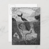 Illustratie Hoesje "20.000 collega's onder het Zee Briefkaart (Voorkant / Achterkant)