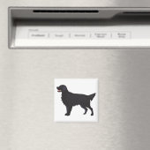 Illustratie Hondenras met platte bekleding Magneet (Insitu (Vaatwasser))