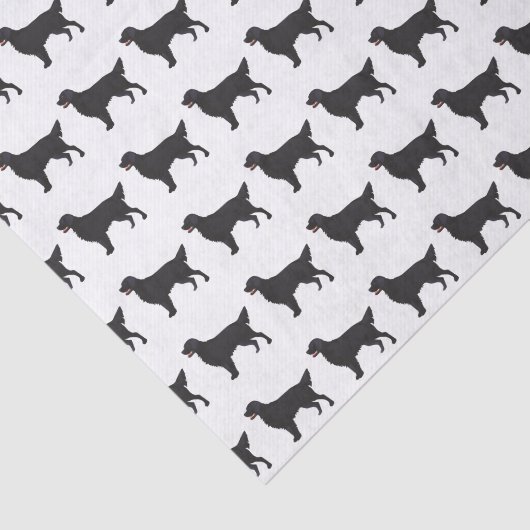 Illustratie Hondenras met platte bekleding Tissuepapier (Detail)