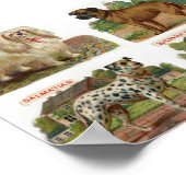  illustratie Hondenras Poster (Hoek)