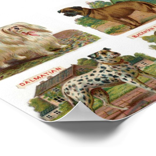 illustratie Hondenras Poster (Hoek)