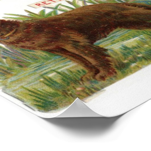  illustratie Hondenras Poster (Hoek)