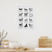 Illustratie  Hondenras, Retro-honden Poster (Keuken)