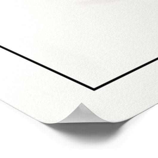  illustratie Hummingbird Poster (Hoek)