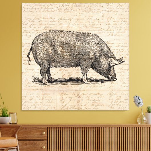 Illustratie illustratie Antiek tekenpapierstijl pi Canvas Afdruk (Insitu (Woonkamer))