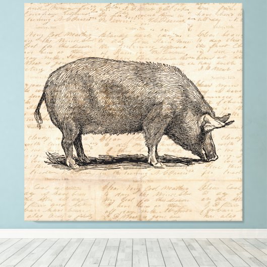 Illustratie illustratie Antiek tekenpapierstijl pi Canvas Afdruk (Insitu (Houten vloer))