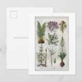 Illustratie in "MON DOCTEUR" Briefkaart (Voorkant / Achterkant)