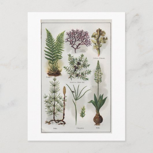 Illustratie in "MON DOCTEUR" Briefkaart (Voorkant)