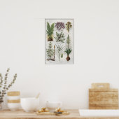 Illustratie in "MON DOCTEUR" Poster (Keuken)