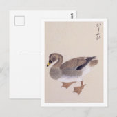 Illustratie in vintage stijl: Boerenlandgans Briefkaart (Voorkant / Achterkant)