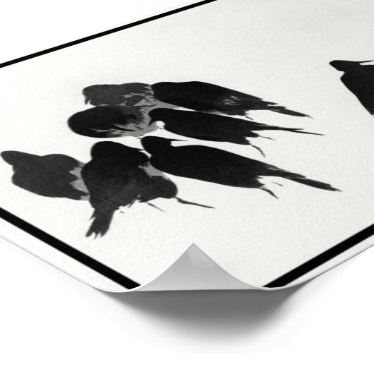 Illustratie  inktkoeien poster (Hoek)