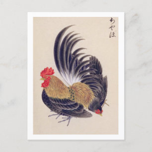  illustratie: Japans bantam Briefkaart