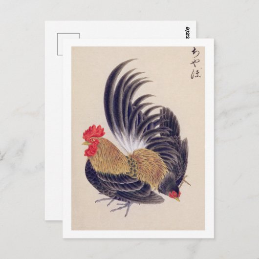 illustratie: Japans bantam Briefkaart (Voorkant / Achterkant)