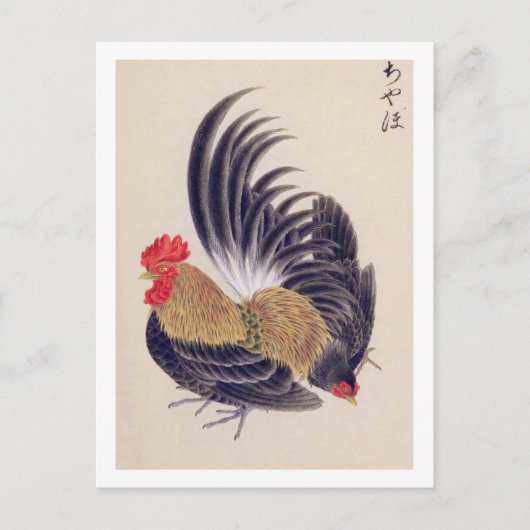 illustratie: Japans bantam Briefkaart (Voorkant)