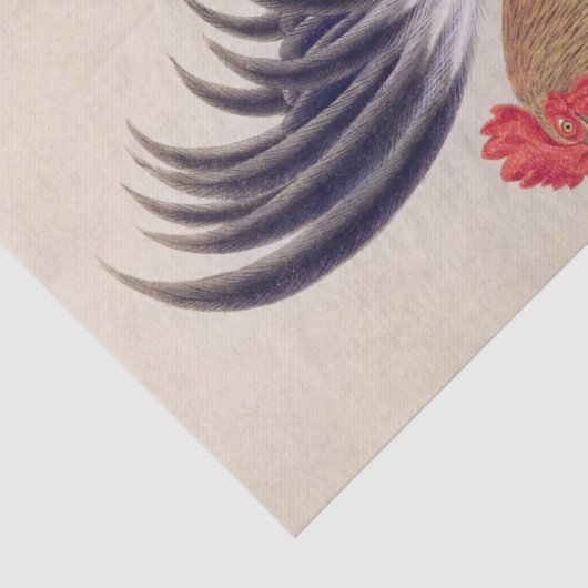  illustratie: Japans bantam Tissuepapier (Detail)