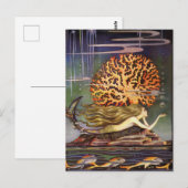  illustratie Jennie Harbour De Zeemeermin Briefkaart (Voorkant / Achterkant)