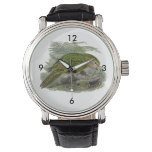  illustratie Kakapo Green Parrot Horloge