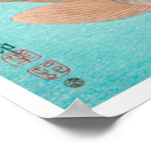 Illustratie  karp poster (Hoek)