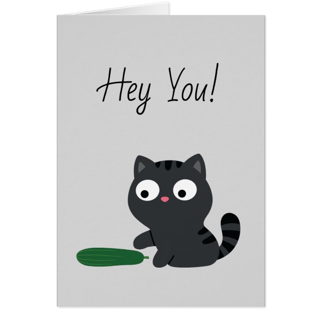 Illustratie kat en komkommer (Voorkant)