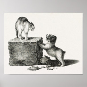 Illustratie  kat en pop-up poster