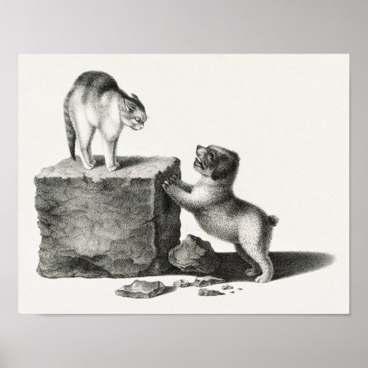 Illustratie  kat en pop-up poster (Voorkant)