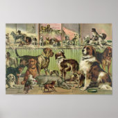 Illustratie  Kennel Club Poster (Voorkant)