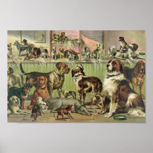 Illustratie Kennel Club Poster