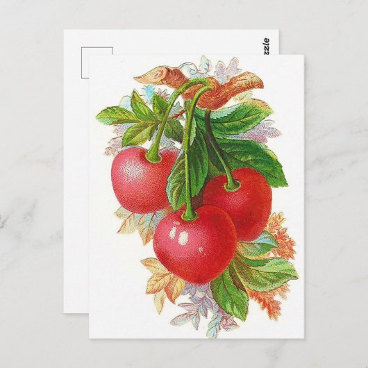 illustratie  kersen briefkaart (Voorkant / Achterkant)