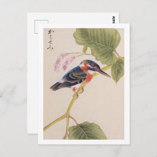  illustratie: Kingfisher Briefkaart (Voorkant / Achterkant)