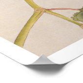 illustratie: Kingfisher Poster (Hoek)