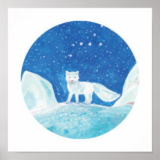 Illustratie kleine poolvos (Vulpes lagopus) Poster