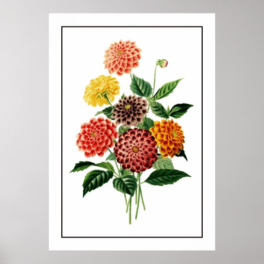 Illustratie kleurrijke botanische bloemen poster (Voorkant)