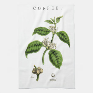 Illustratie  koffie-Plant Theedoek