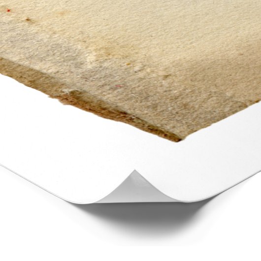 Illustratie kokospalm poster (Hoek)