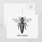 Illustratie koningin bij klassieke tekening briefkaart (Voorkant / Achterkant)