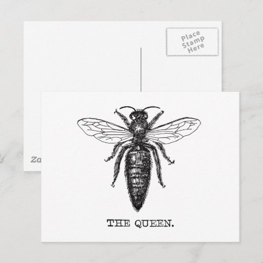 Illustratie koningin bij klassieke tekening briefkaart (Voorkant / Achterkant)