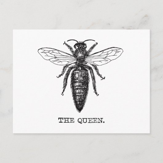 Illustratie koningin bij klassieke tekening briefkaart (Voorkant)