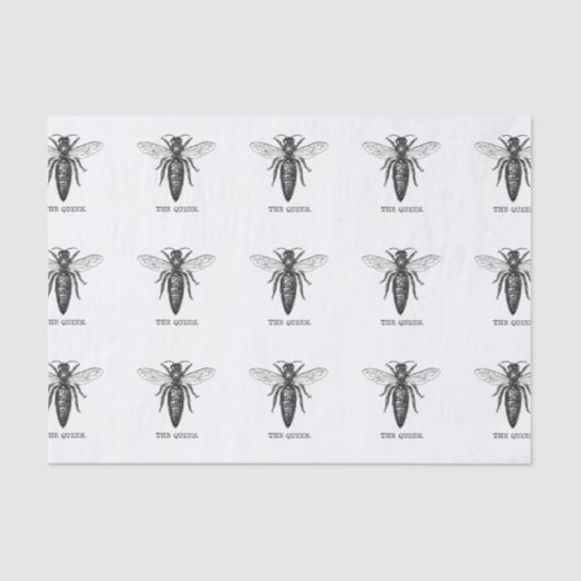 Illustratie koningin bij klassieke tekening tissuepapier (Voorkant)