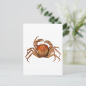 Illustratie  krab briefkaart (Staand voorkant)