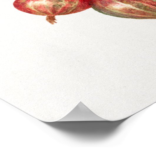 Illustratie  kruisbessen poster (Hoek)